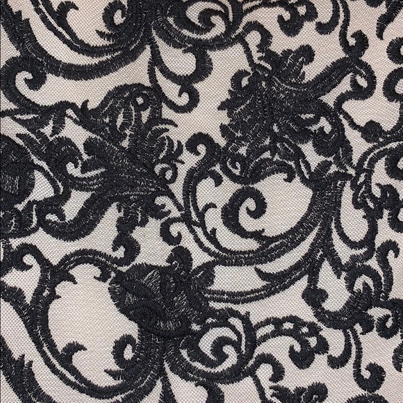 Lace Mesh Crop Top - Picture 6 of 6